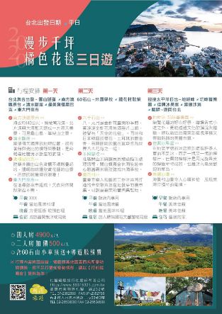 【想飛旅遊】 🌾漫步橘色花毯🌾