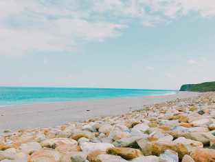 旅遊小幫手-規劃及資訊提供